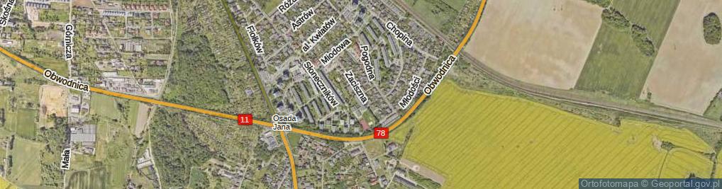 Zdjęcie satelitarne Miła ul.